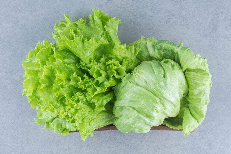 Close up photo Leaves of lettuce on the grey background in basket
