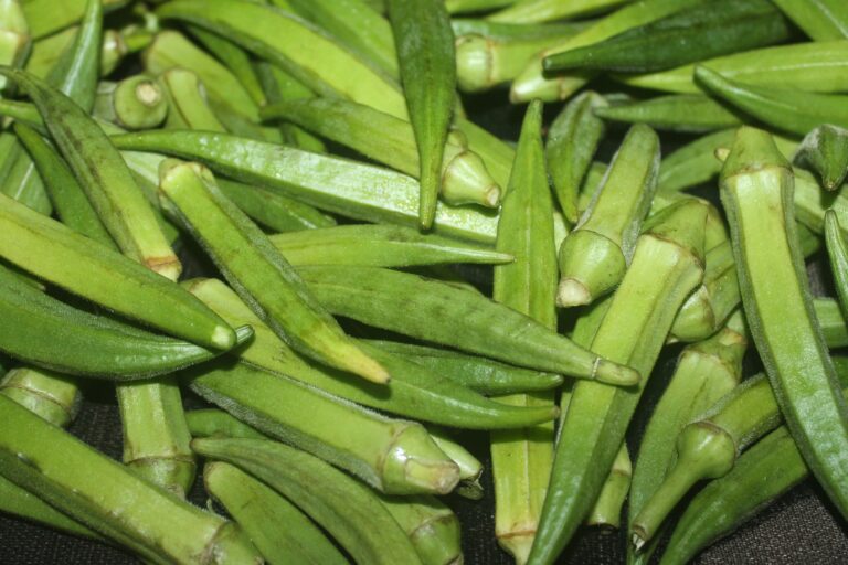 vegetable-5323257_1920